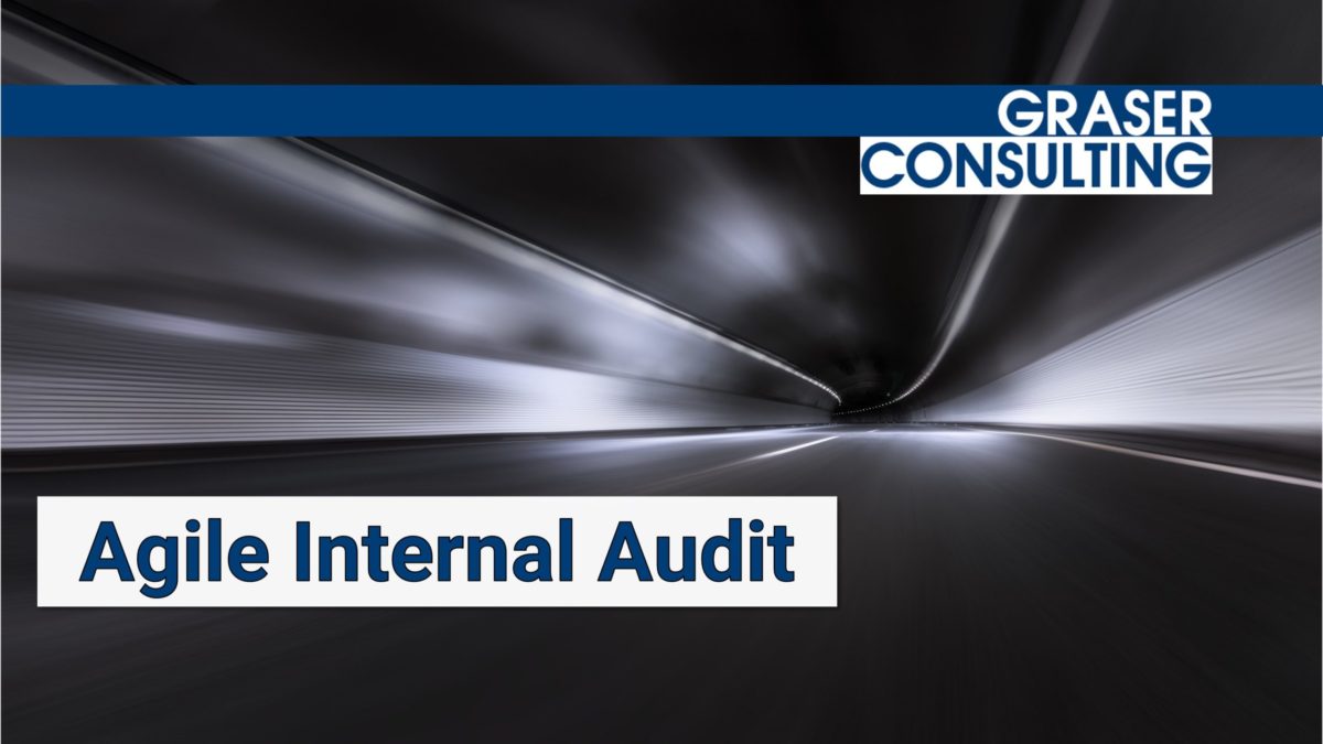 Building An Agile Internal Audit Function Graser Consulting 