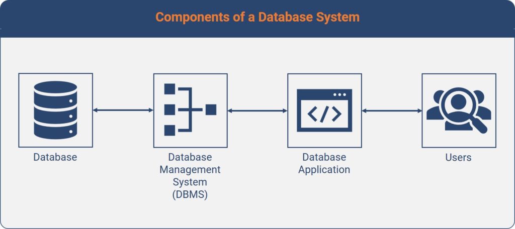 Illustration of the 4 components which make up a database system